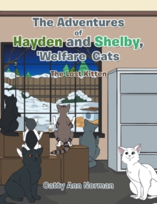 The Adventures of Hayden and Shelby, 'Welfare Cats : The Lost Kitten