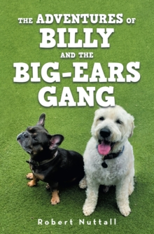 The adventures of Billy and the Big-ears gang