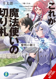 This Is the Wizards Secret Weapon, Vol. 1 (light novel)