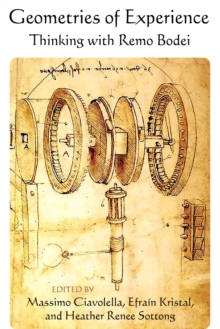 Geometries of Experience : Thinking with Remo Bodei