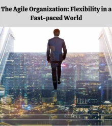 The Agile Organization : Flexibility in a Fast-paced World