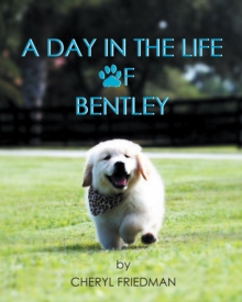 A Day in the Life of Bentley