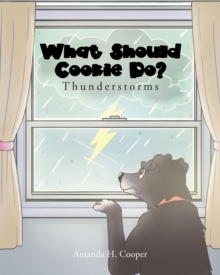 What Should Cookie Do? : Thunderstorms