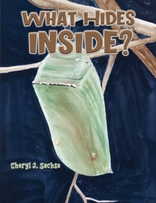 What Hides Inside?