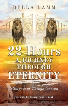 22 Hours: A Journey Through Eternity : Glimpses of Things Unseen