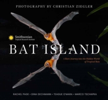 Bat Island : A Rare Journey into the Hidden World of Tropical Bats