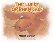 The Lucky Orphan Calf