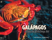 GALAPAGOS : Where the Wild Things Are