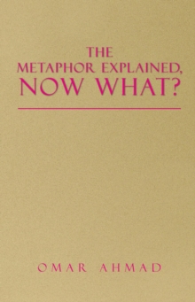 The Metaphor Explained, Now What?