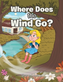 Where Does the Wind Go?