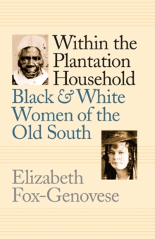 Within the Plantation Household : Black and White Women of the Old South