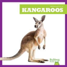 Kangaroos