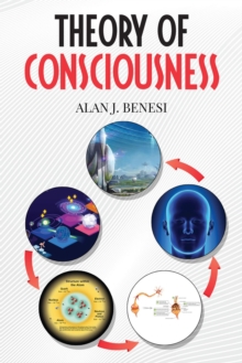 Theory of Consciousness