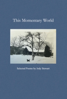 This Momentary World