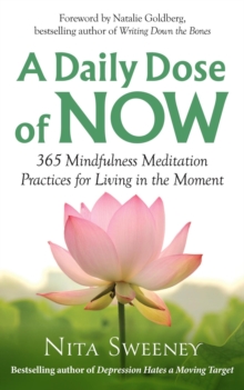 Daily Dose of Now: 365 Mindfulness Meditation Practices for Living in the Moment