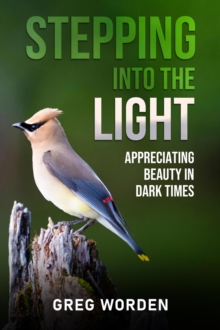 Stepping into the Light: Appreciating Beauty in Dark Times