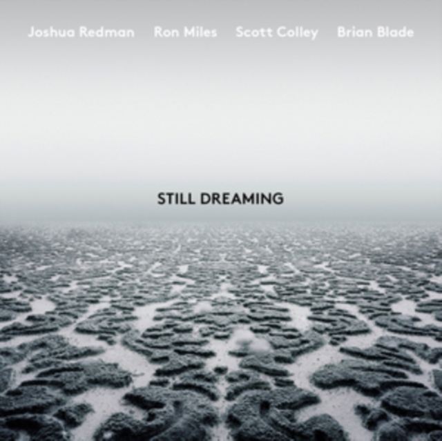Still Dreaming (Feat. Ron Miles, Scott Colley & Brian Blade), CD / Album Cd