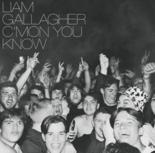 C'mon You Know, Vinyl / 12" Album Vinyl