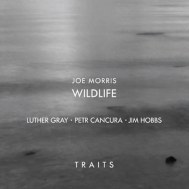 Traits, CD / Album Cd