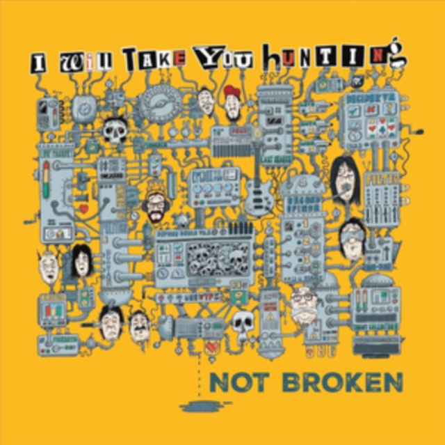 Not Broken, Vinyl / 12" Album Vinyl
