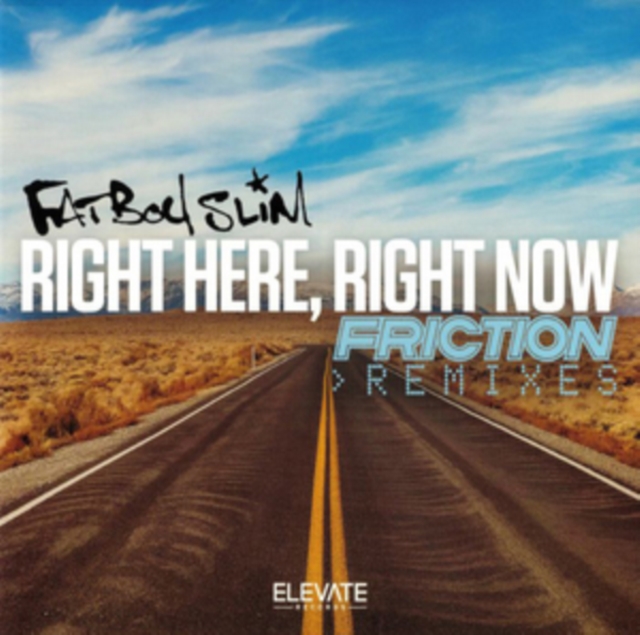 Right Here Right Now - Friction Remixes, Vinyl / 12" Single Vinyl