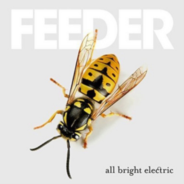 All Bright Electric, CD / Album Cd