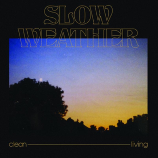 Clean Living, Vinyl / 12" EP Vinyl