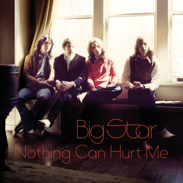Nothing Can Hurt Me, Vinyl / 12" Album Vinyl