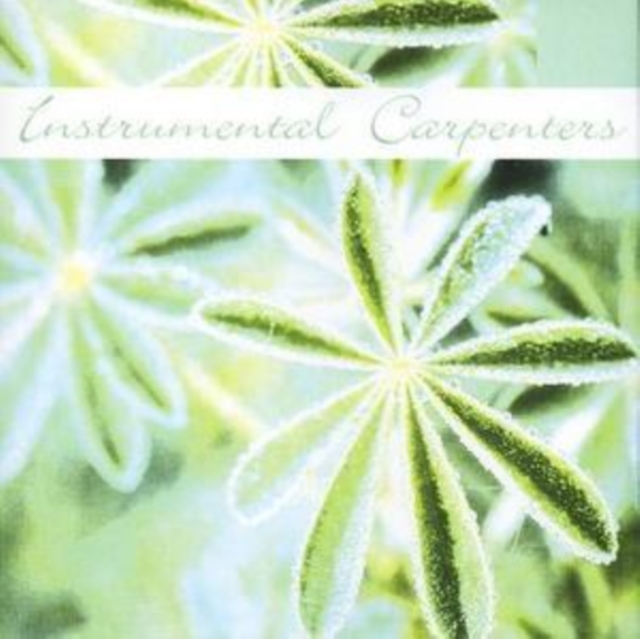 Instrumental - Carpenters, CD / Album Cd