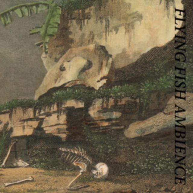 Flying Fish Ambience, CD / Album Digipak Cd