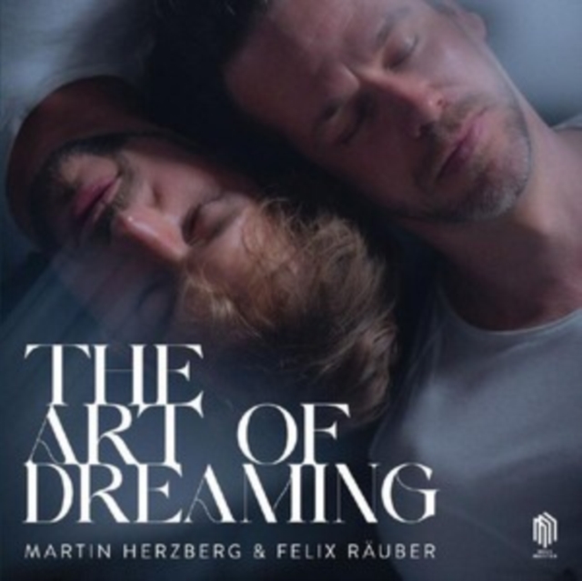 Martin Herzberg & Felix Räuber: The Art of Dreaming, Vinyl / 12" Album Vinyl