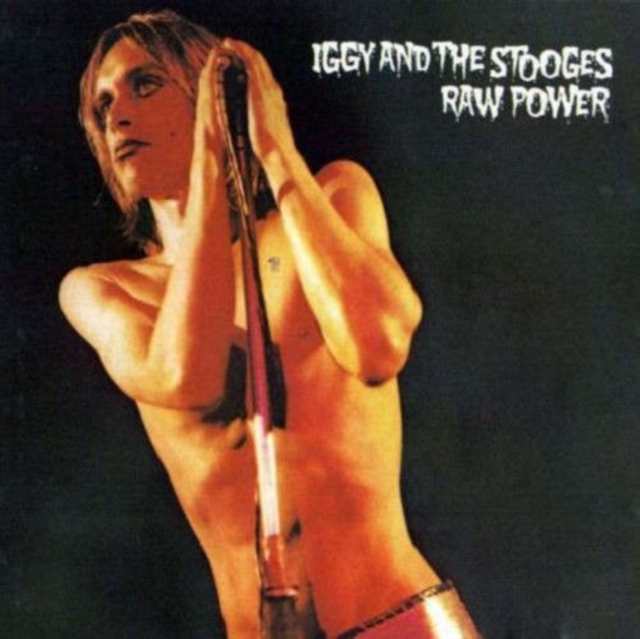 Raw Power, Vinyl / 12" Album Vinyl