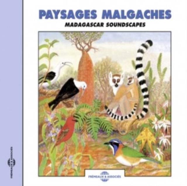 Paysages Malgaches: Madagascar Soundscapes, CD / Album Cd