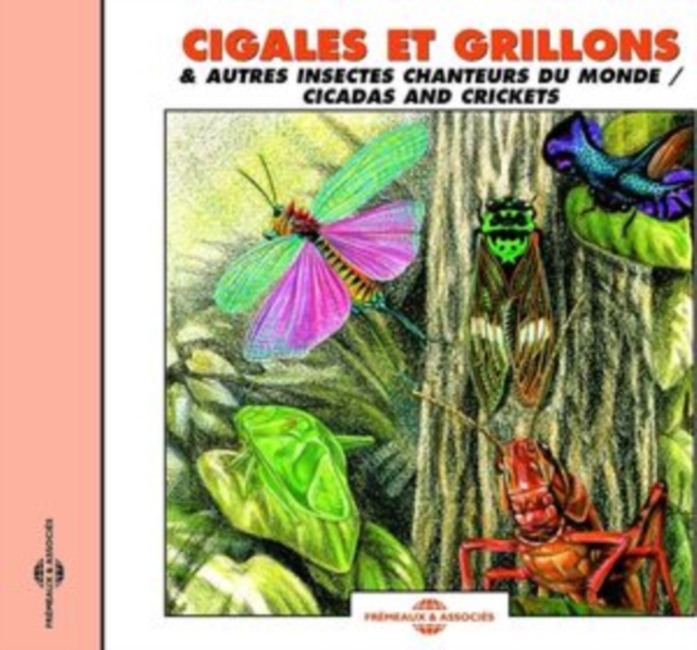Cigales Et Grillons: & Autres Insectes Chanteurs Du Monde, CD / Album Cd