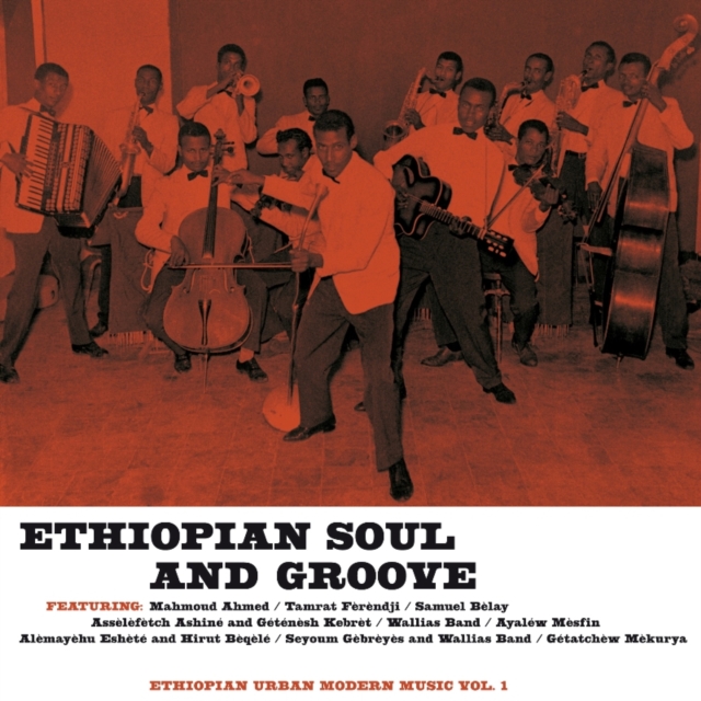 Ethiopian Soul and Groove, Vinyl / 12" Album Vinyl