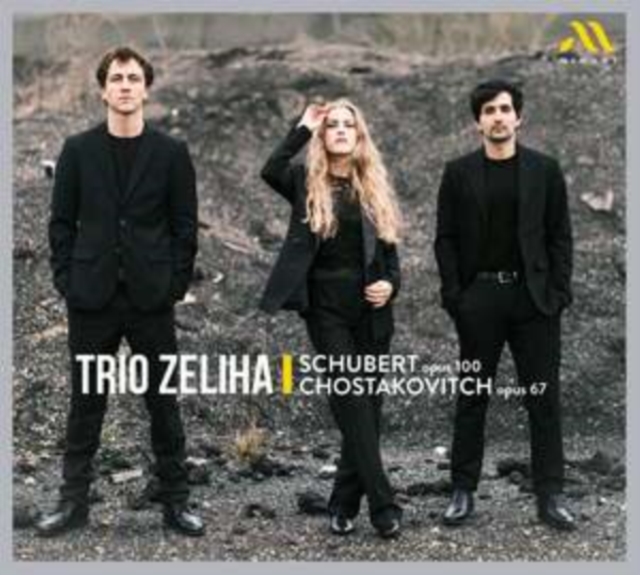 Schubert, Op. 100/Chostakovitch, Op. 67, CD / Album Cd