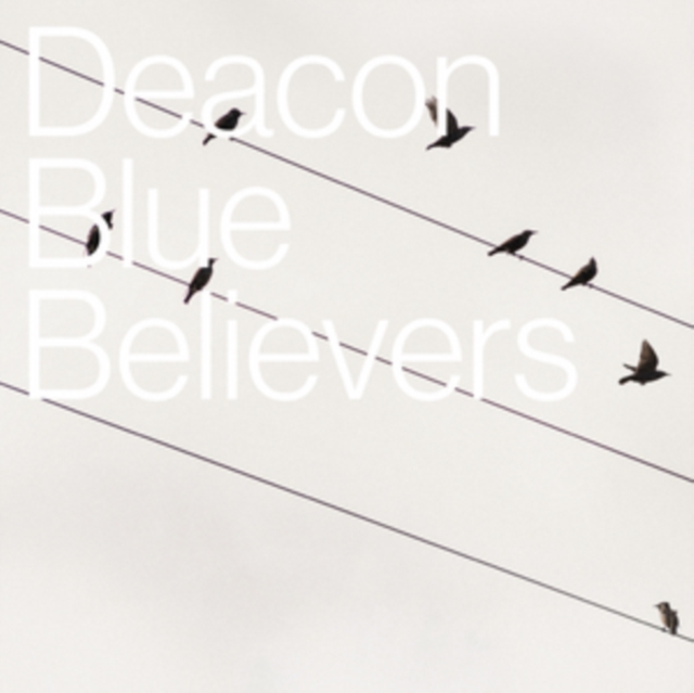 Believers, Vinyl / 12" Album Vinyl