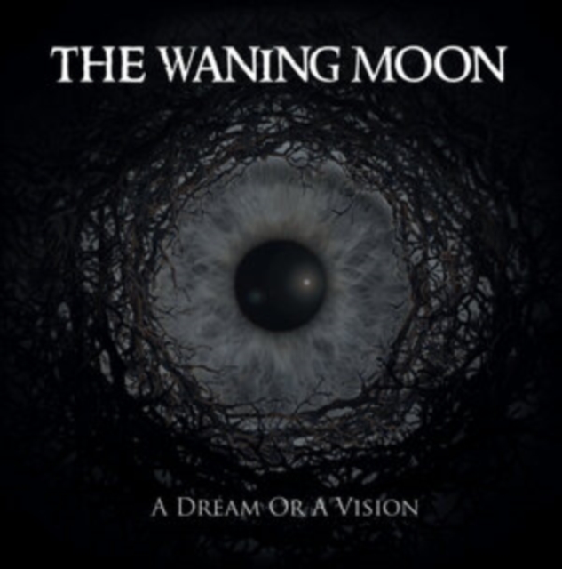 A Dream Or a Vision, CD / Album Cd