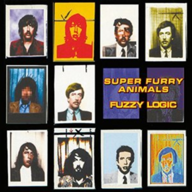 Fuzzy Logic (20th Anniversary Edition), Vinyl / 12" Remastered Album Vinyl