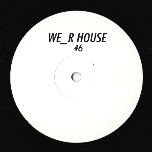 We_r House 06, Vinyl / 12" EP Vinyl