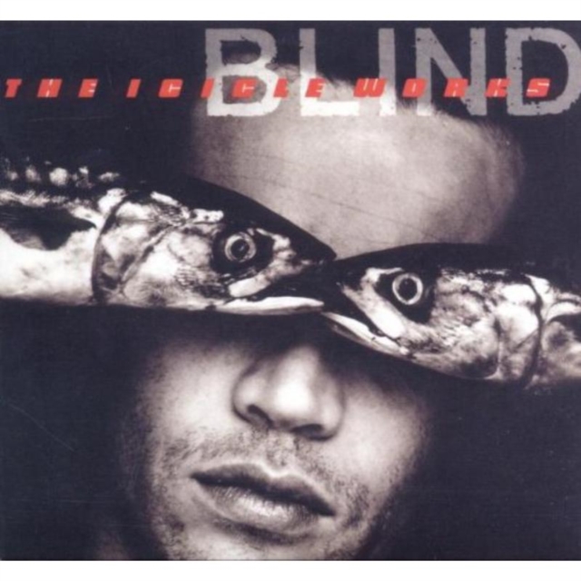 Blind (Expanded Edition), CD / Box Set Cd