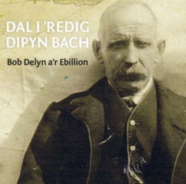 Dal I'redig Dipyn Bach, CD / Album Cd