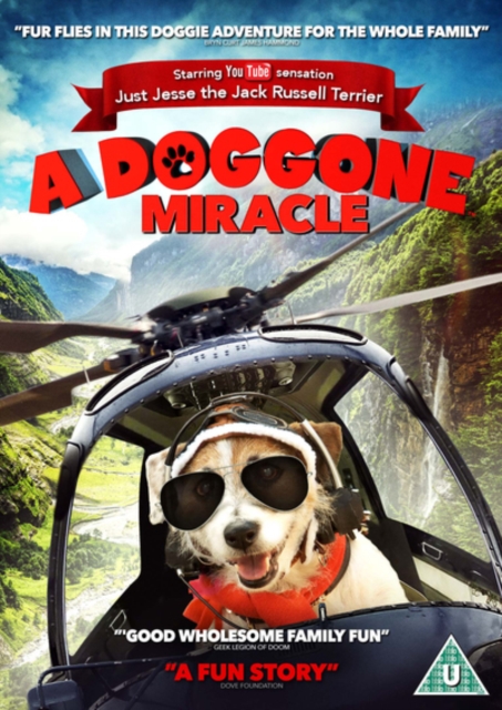 A   Doggone Miracle, DVD DVD