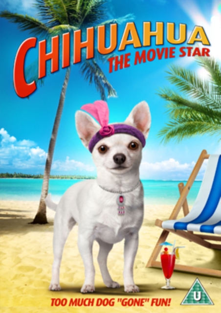 Chihuahua - The Movie Star, DVD  DVD