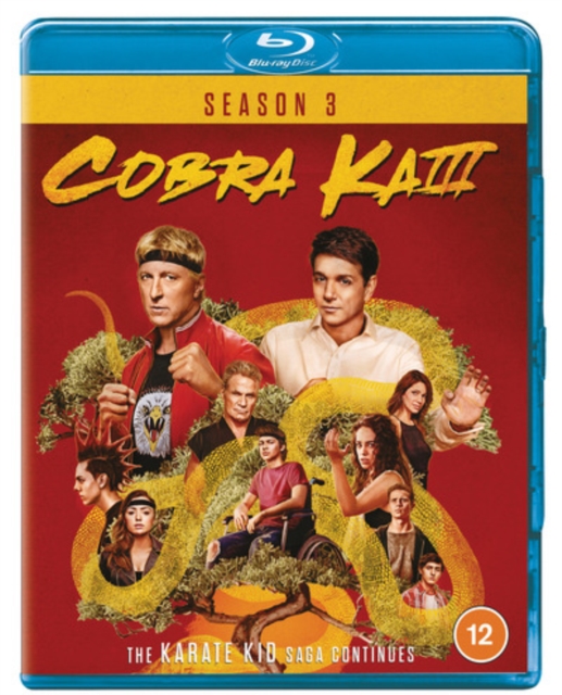 Cobra Kai: Season 3, Blu-ray BluRay
