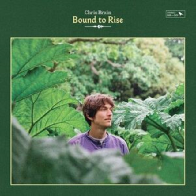 Bound to Rise, Vinyl / 12" Album Vinyl