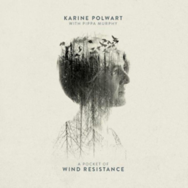 A Pocket of Wind Resistance (RSD 2018), Vinyl / 12" Album Vinyl