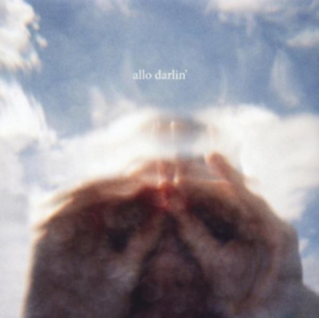 Allo Darlin', Vinyl / 12" Album Vinyl