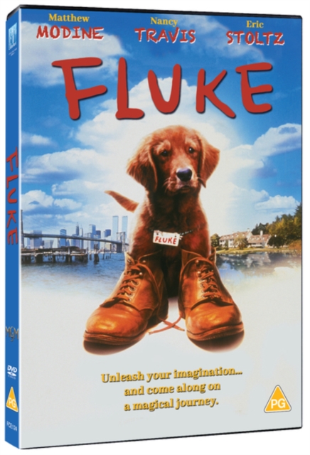 Fluke, DVD DVD