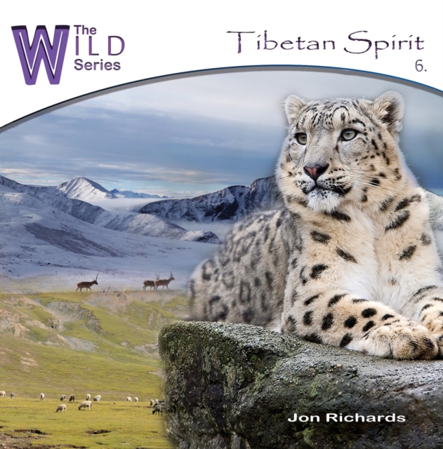 Tibetan Spirit, CD / Album Cd